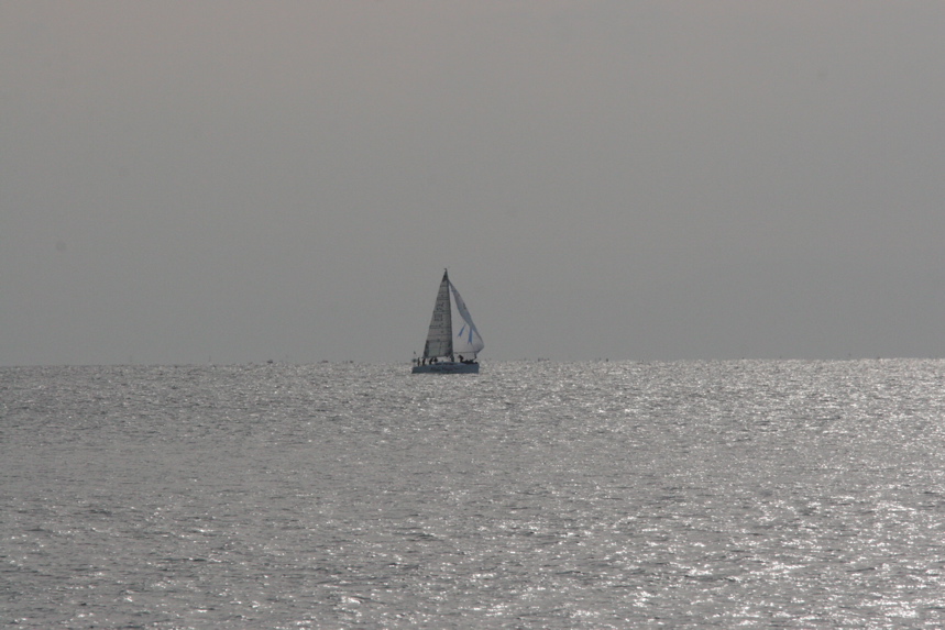 IMG_3006.JPG