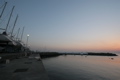 IMG_2691.JPG
