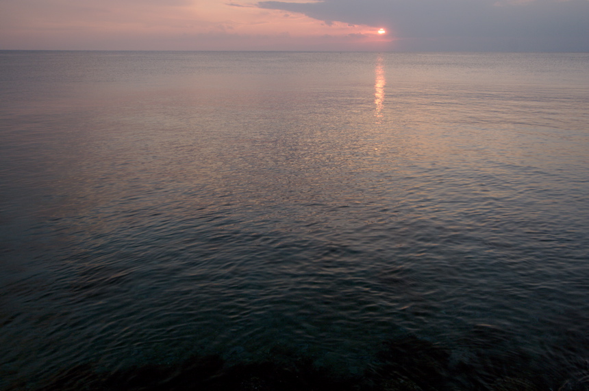 IMG_3533.CR2