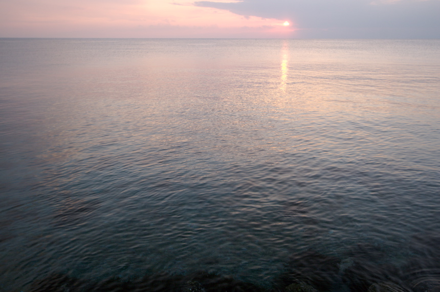 IMG_3534.CR2