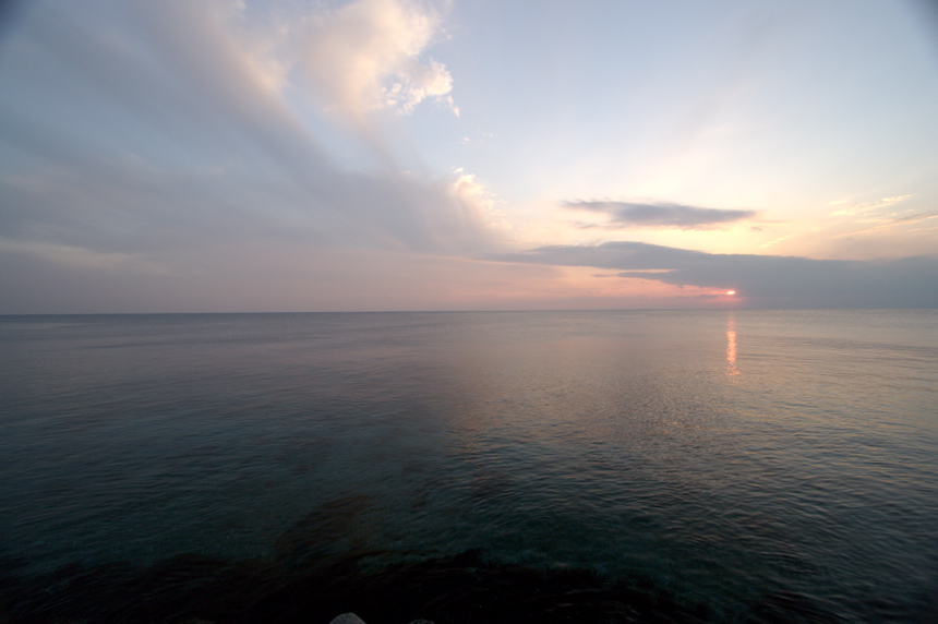 IMG_3537.CR2