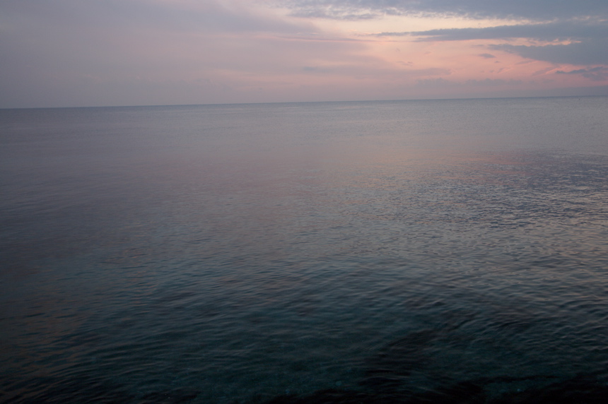 IMG_3553.CR2