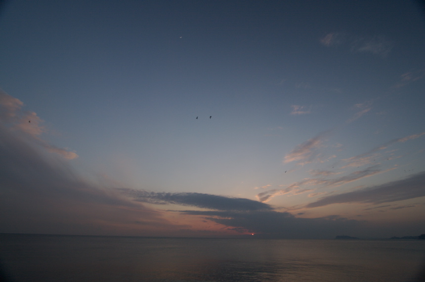 IMG_3554.CR2