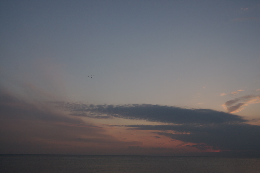 IMG_3556.CR2