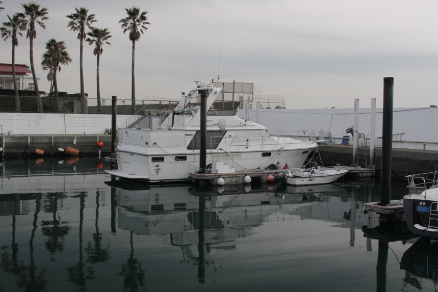 IMG_3383.JPG