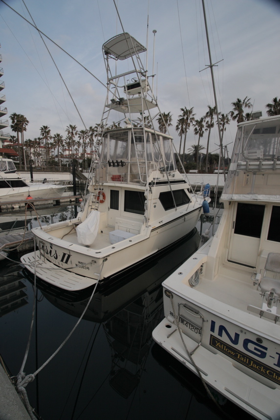 IMG_3418.JPG