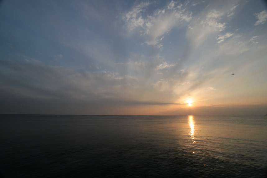 IMG_3435.JPG