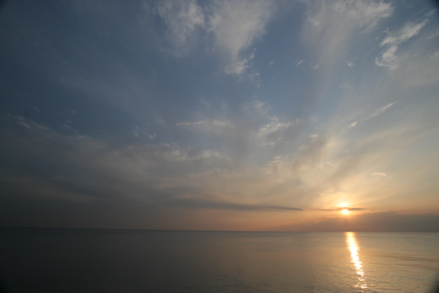 IMG_3442.JPG