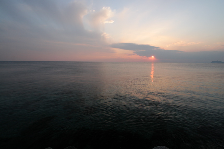 IMG_3505.JPG
