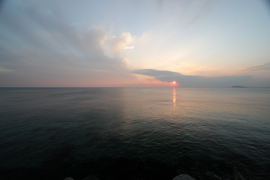 IMG_3510.JPG