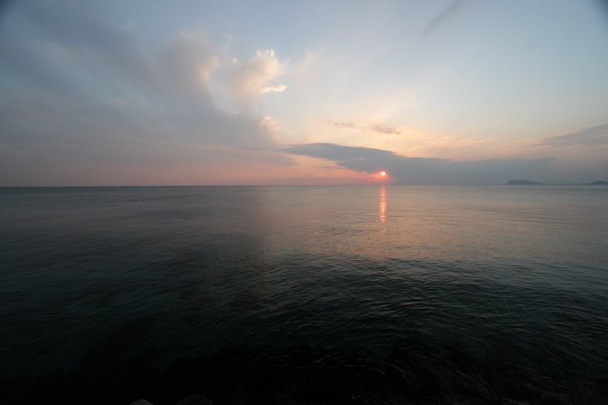 IMG_3511.JPG