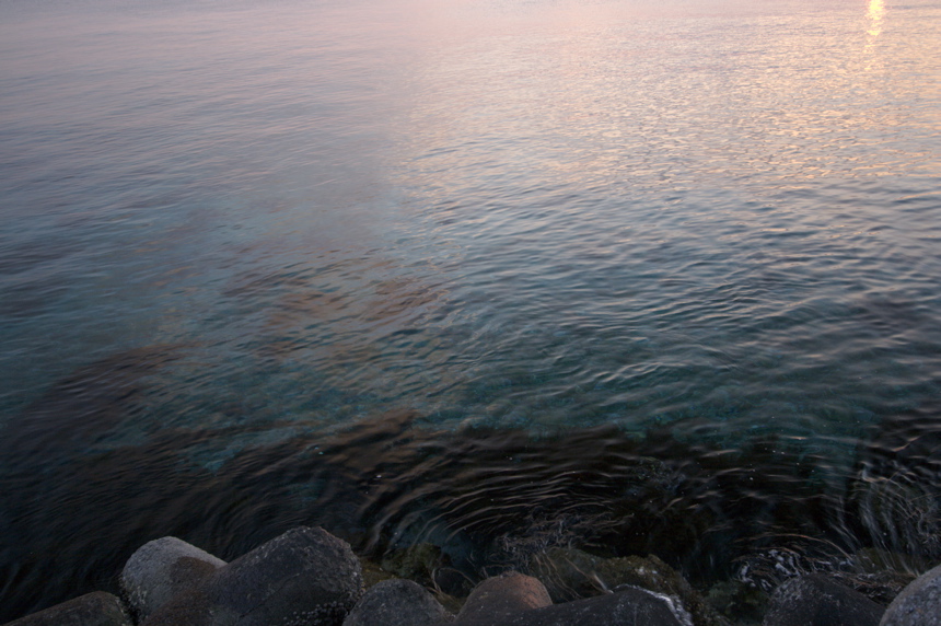 IMG_3523.CR2