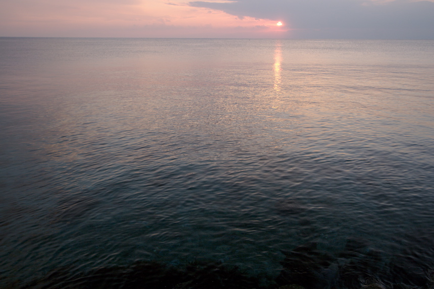 IMG_3532.CR2