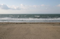 IMG_5891.JPG