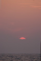 IMG_6477.CR2