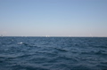 IMG_6324.JPG