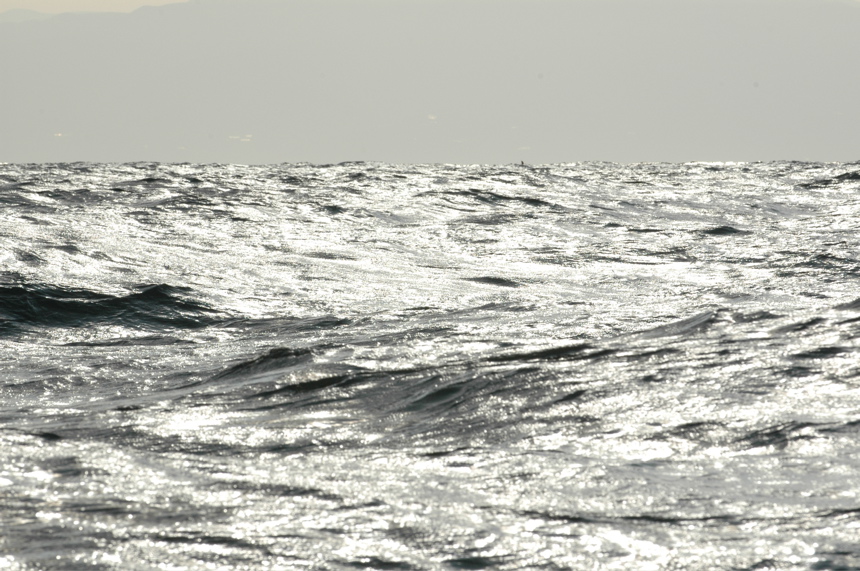 ZR_050320_KT_2263