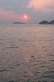 IMG_7985.JPG