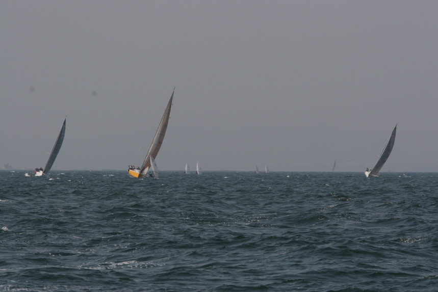 IMG_8842.JPG