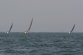 IMG_8842.JPG