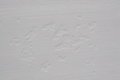 IMG_0749.JPG