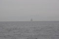 IMG_1730.JPG