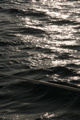 IMG_1834.JPG