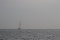 IMG_1772.JPG