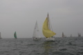 IMG_2384.JPG