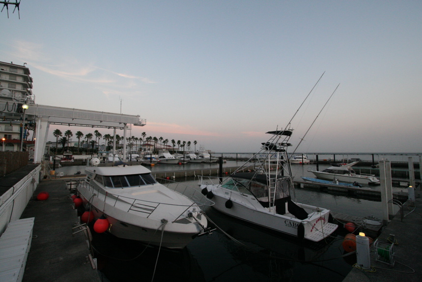 IMG_2987.JPG