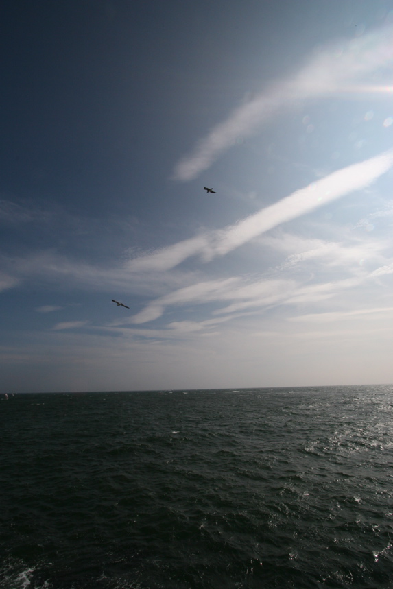 IMG_3437.JPG
