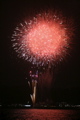 IMG_3768.JPG
