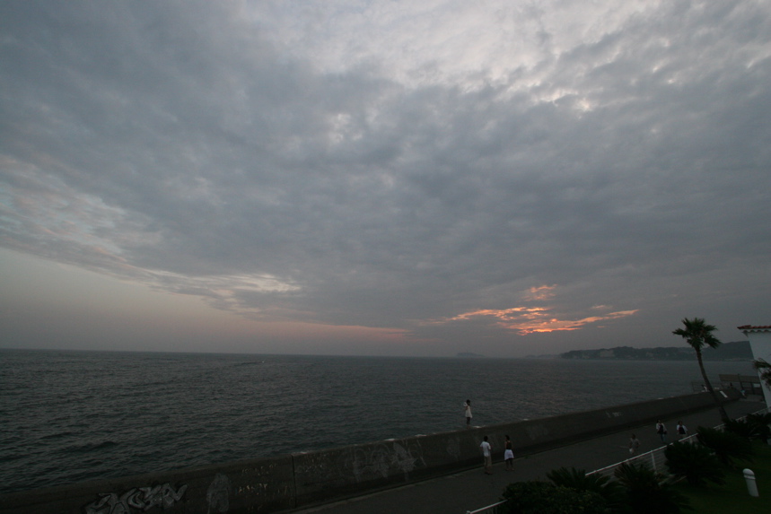 IMG_4443.JPG