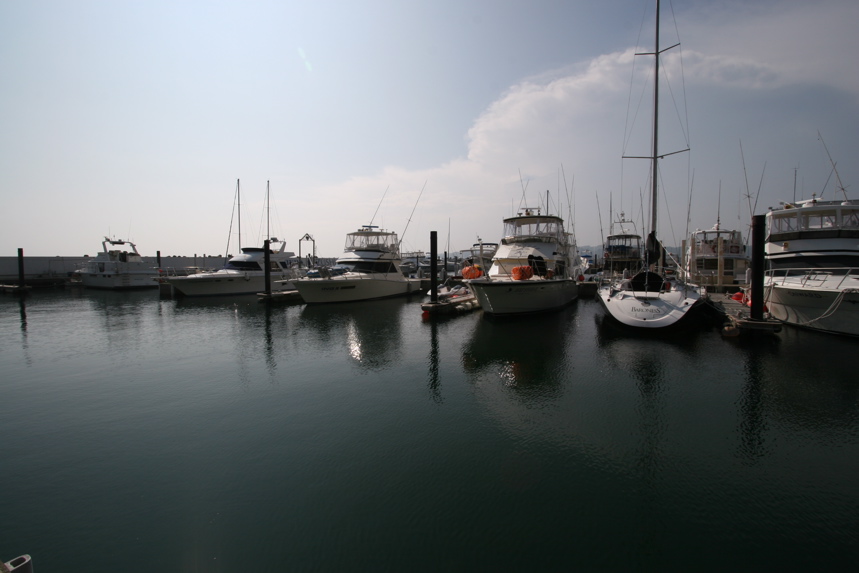 IMG_4378.JPG