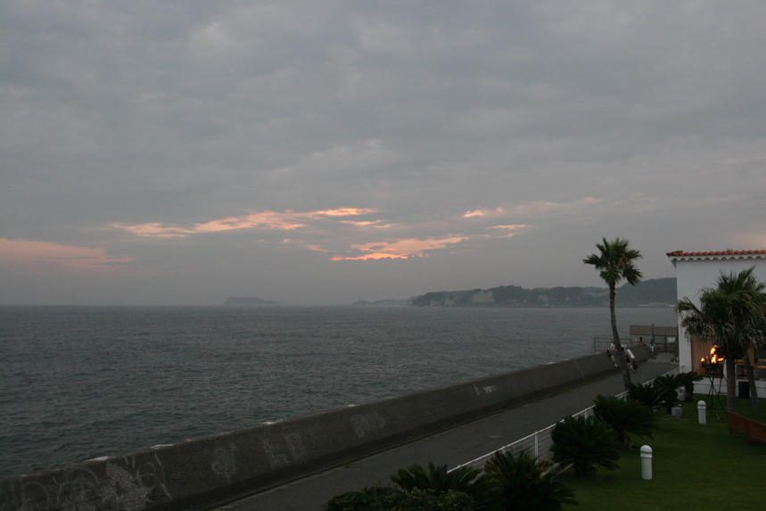IMG_4446.JPG