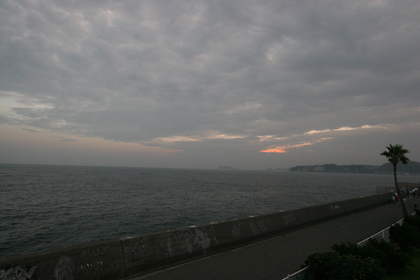 IMG_4451.JPG