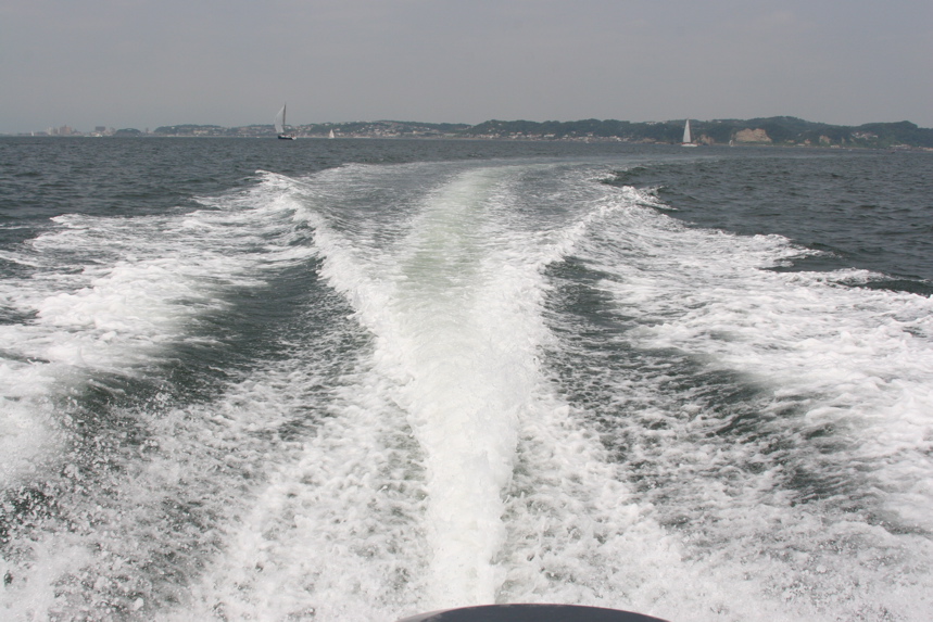 IMG_4952.JPG