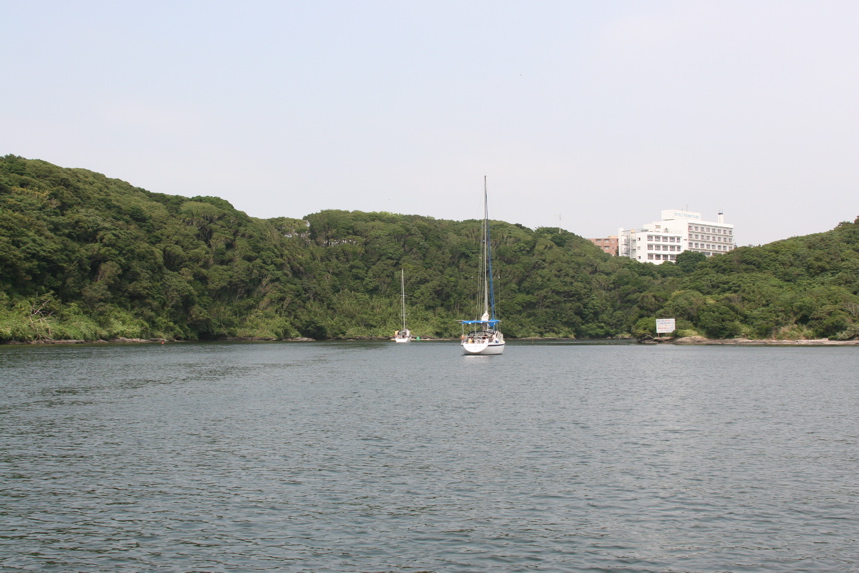 IMG_5066.JPG