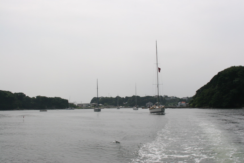 IMG_5069.JPG