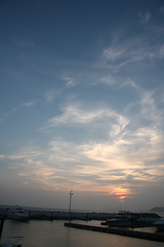 IMG_5224.JPG