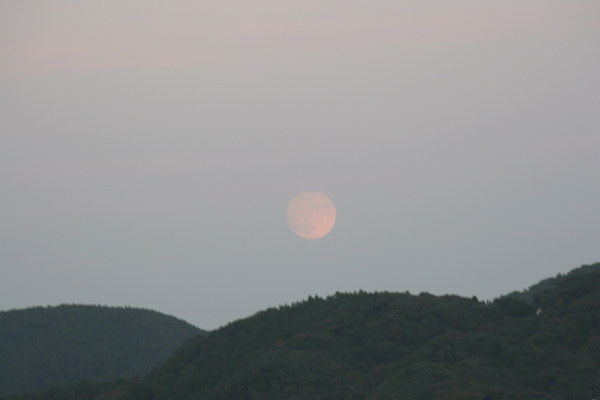 IMG_6314.JPG