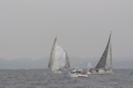 IMG_7852.JPG