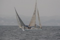 IMG_7879.JPG
