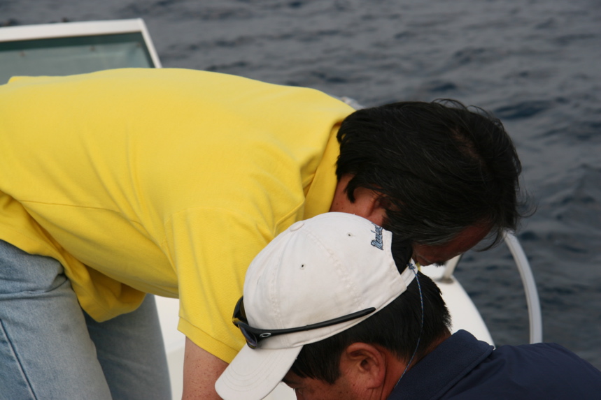 IMG_8433.JPG