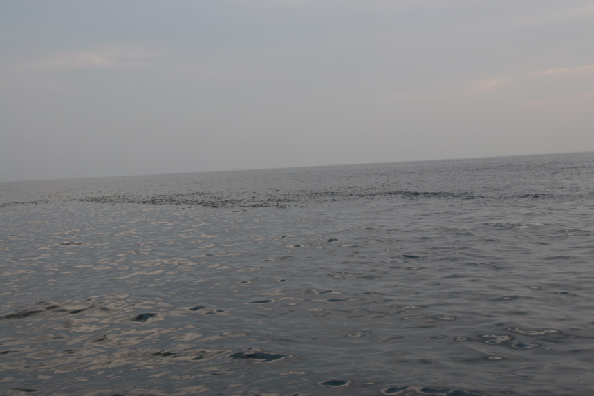IMG_8449.JPG