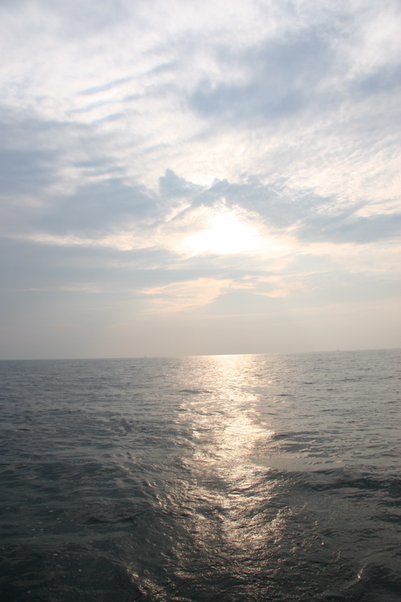 IMG_8452.JPG