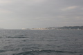 IMG_8793.JPG