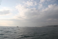 IMG_8794.JPG