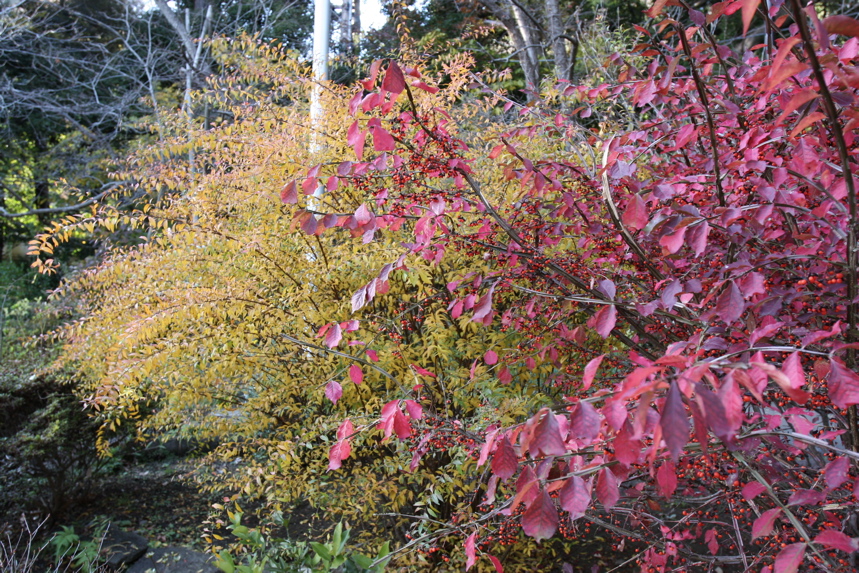 IMG_9125.JPG