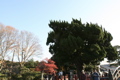 IMG_9117.JPG